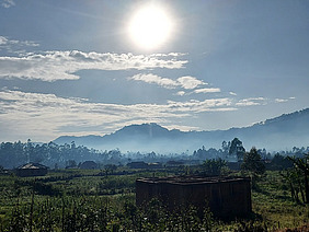 Sunny landscape.