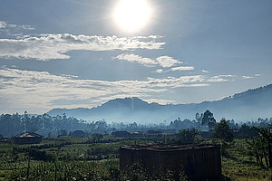 Sunny landscape.