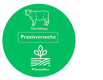 Grafik Praxisversuche