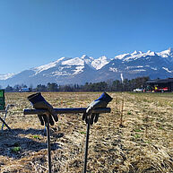 Auf einem stoppeligen Feld steckt im Vordergrund ein Gerät aus Eisenstangen, mit zwei leeren Handschuhen daran. Die Handschuhe sehen so aus, als ob sie das Gerät halten. Im Hintergrund blauer Himmel und schneebedeckte Berge.