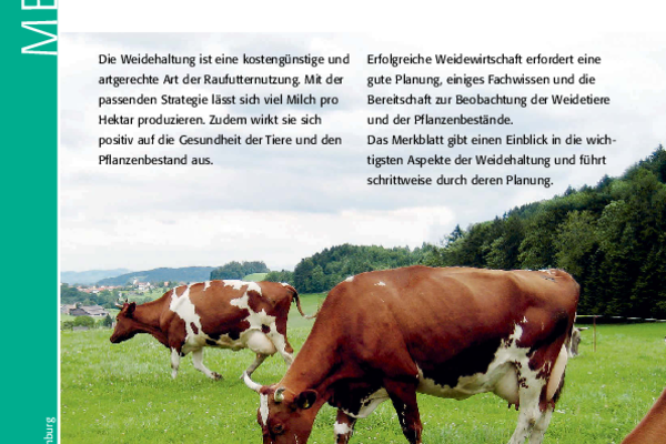 Cover Merkblatt Weidehaltung