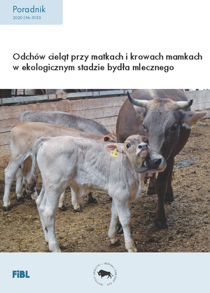 Odchów cieląt przy matkach i krowach mamkach w ekologicznym stadzie bydła mlecznego