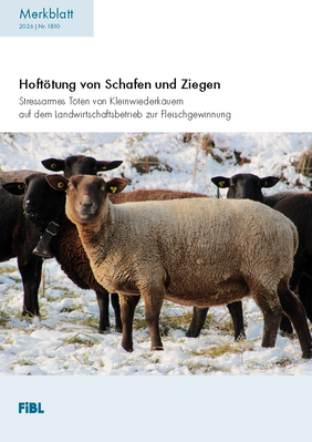 Cover: Hoftötung von Schafen und Ziegen.