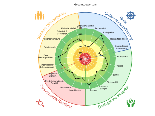 Bewertungsschema und Spinnendiagramm