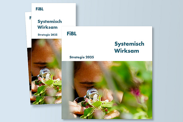 Cover eines Flyers und einer Broschüre.