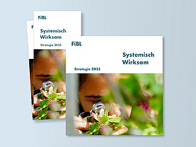 Cover eines Flyers und einer Broschüre.