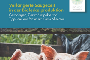 Cover: Verlängerte Säugezeit in der Bioferkelproduktion