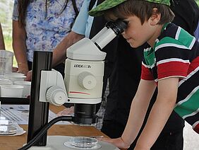 Junge schaut durchs Mikroskop.