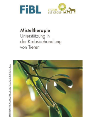 Misteltherapie