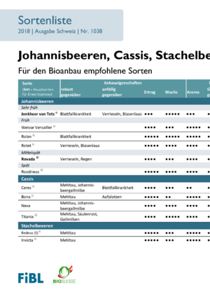Sortenliste Johannisbeeren, Cassis, Stachelbeeren, Jostabeeren