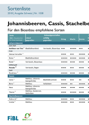 Sortenempfehlung Johannisbeeren, Cassis, Stachelbeeren, Jostabeeren