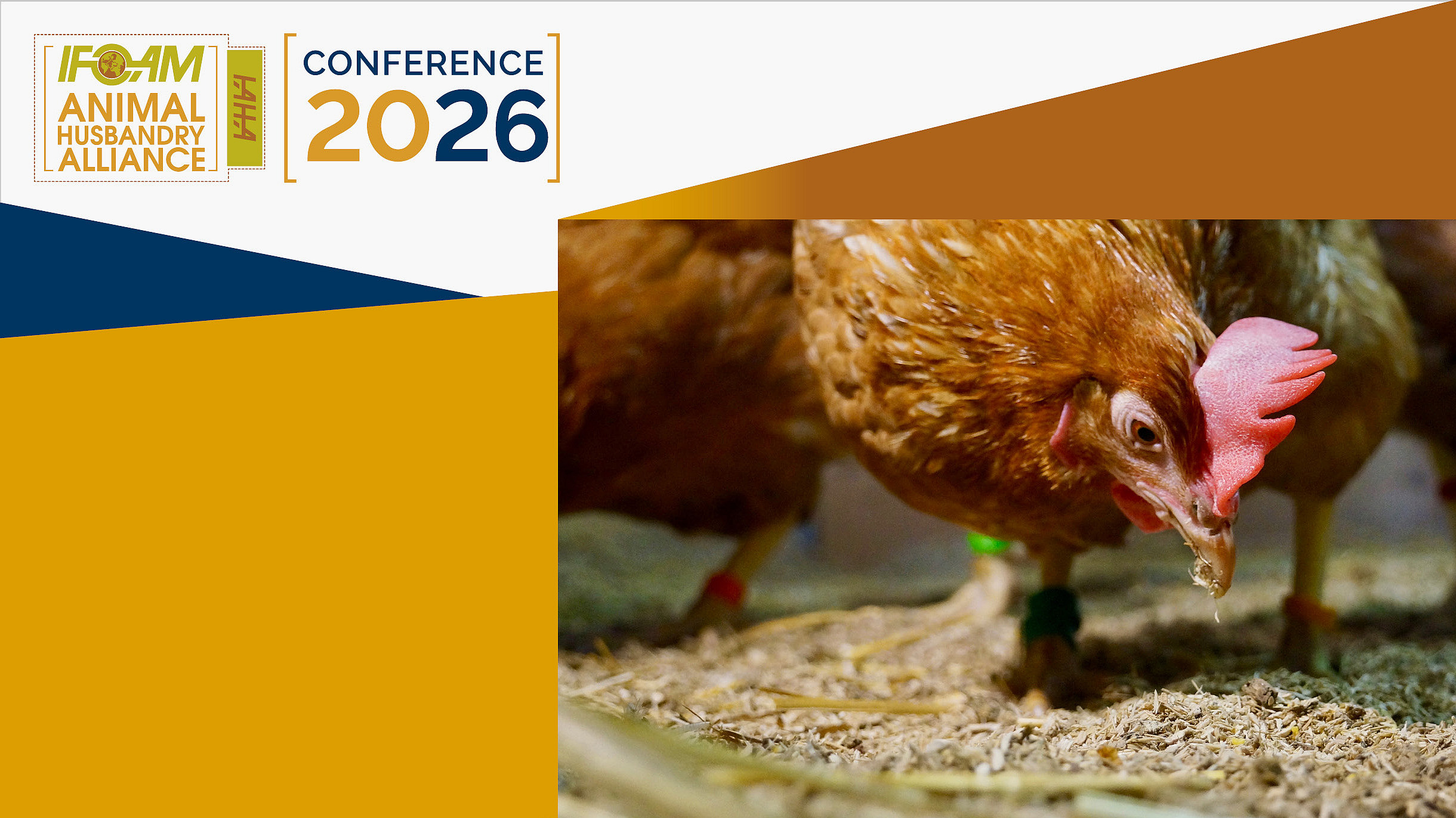 IAHA logo with feeding hen.