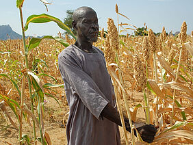 Ein Bauer in einem Sorghum-Feld