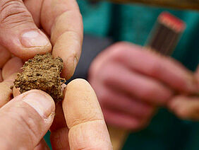 Assessment of top soil by hand