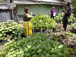 Sur la photo, on voit une dame âgée, une femme d'âge mûr et un jeune homme, tous trois debout dans un potager. La photo a été prise au Kenya.