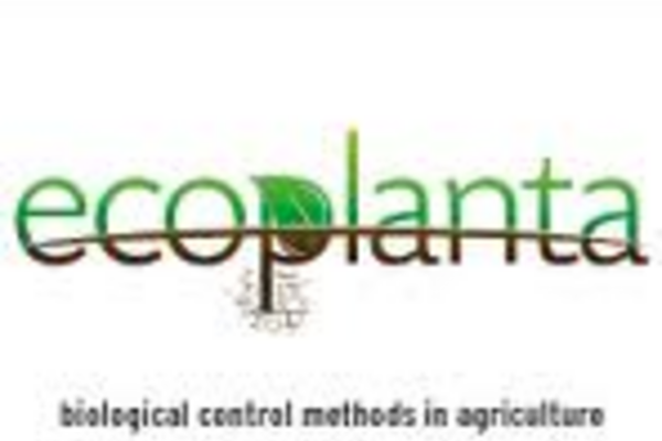 logo ecoplanta