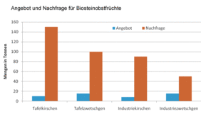 Grafik: Angebot und Nachfrage für Biosteinobstfrüchte