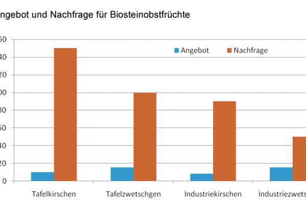 Grafik: Angebot und Nachfrage für Biosteinobstfrüchte