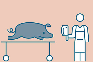 Filmsequenz mit Schwein und Person mit Messer in der Hand.