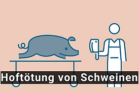 Filmsequenz mit Schwein und Person mit Messer in der Hand.