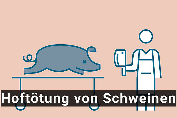 Filmsequenz mit Schwein und Person mit Messer in der Hand.