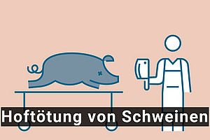Filmsequenz mit Schwein und Person mit Messer in der Hand.