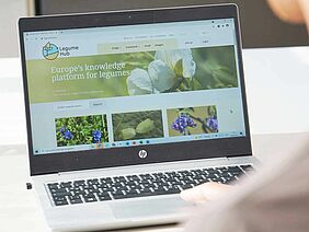 Laptop mit der Legume Hub-Webseite