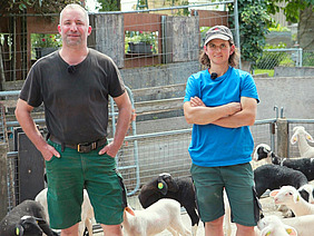 Un homme, une femme et des moutons.
