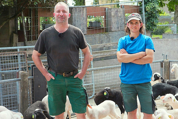 Un homme, une femme et des moutons.