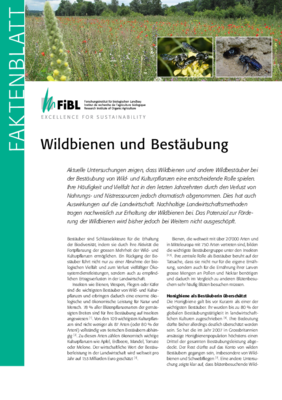 Cover Faktenblatt "Wildbienen und Bestäubung"