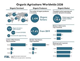 Infographic on organic agriculture worldwide