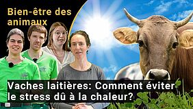 Vache, trois femmes et un homme qui regardent vers l'avant. 