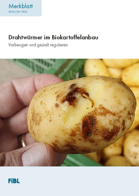 Cover: Drahtwürmer im Biokartoffelanbau