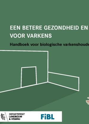 Een betere gezondheid en welzijn voor varkens