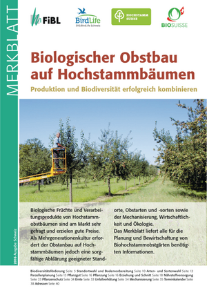 Biologischer Obstbau auf Hochstämmen