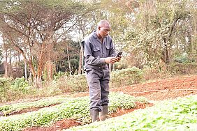  Ein kenianischer Landwirt, der über sein Smartphone auf Wissen zugreift