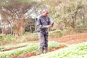 An Kenyan farmer accessing knowledge through his smartphone