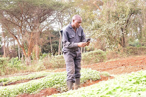  Ein kenianischer Landwirt, der über sein Smartphone auf Wissen zugreift