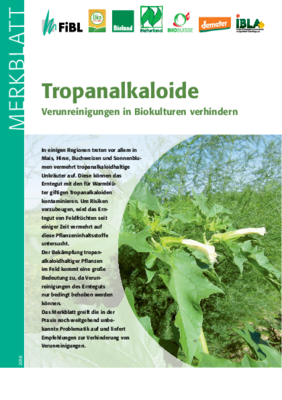 Cover Merkblatt Tropanalkaloide