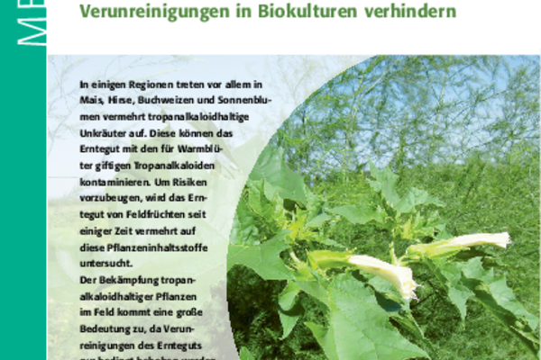 Cover Merkblatt Tropanalkaloide