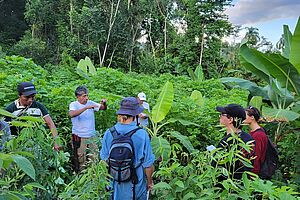 People in an agroforestry plot.