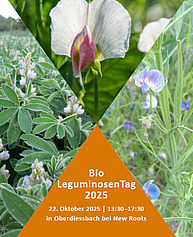 Verschiedene Bilder von Leguminosenblättern und -blüten sind kreuzförmig angeordnet. Auf orangenem Hintergrund steht "BioleguminosenTag 2025, 22. Oktober Oberdiessbach"