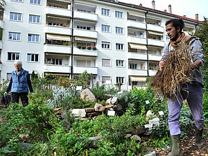 Two persons working in an urban garden