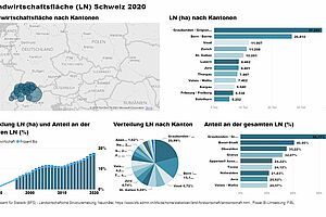 Screenshot Interaktive Karten Schweiz 2020