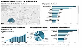 Screenshot Interaktive Karten Schweiz 2020