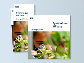 Couverture de la stratégie du FiBL.