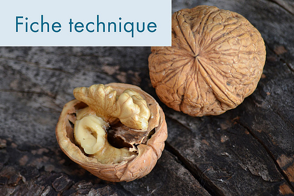 Photo de couverture.