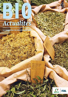 Cover Bioactualités 7/20
