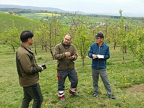 3 men are standing at the edge of a fruit orchard and having a conversation.