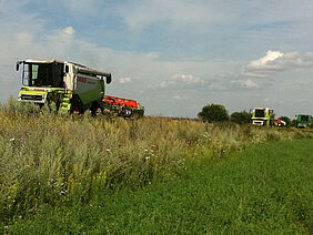 Drei ukrainische Mähdrescher der Marke Claas fahren auf einem Damm entlang eines Ackers.